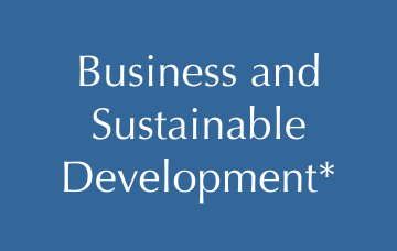  Business and Sustainable Development*
