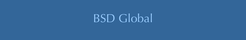  BSD Global