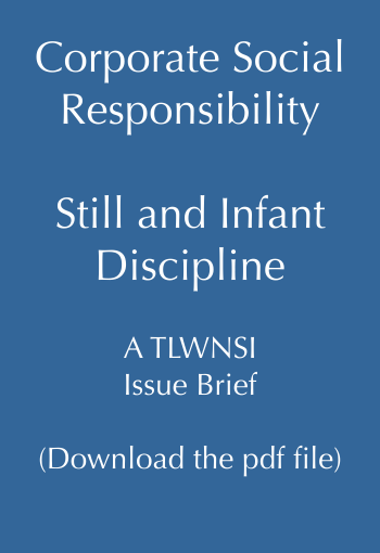  TJSGA's Commentary on the UN Norms Draft  